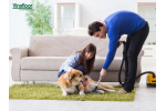 Cách khử mùi nước tiểu của động vật trên thảm và sàn nhà hiệu quả